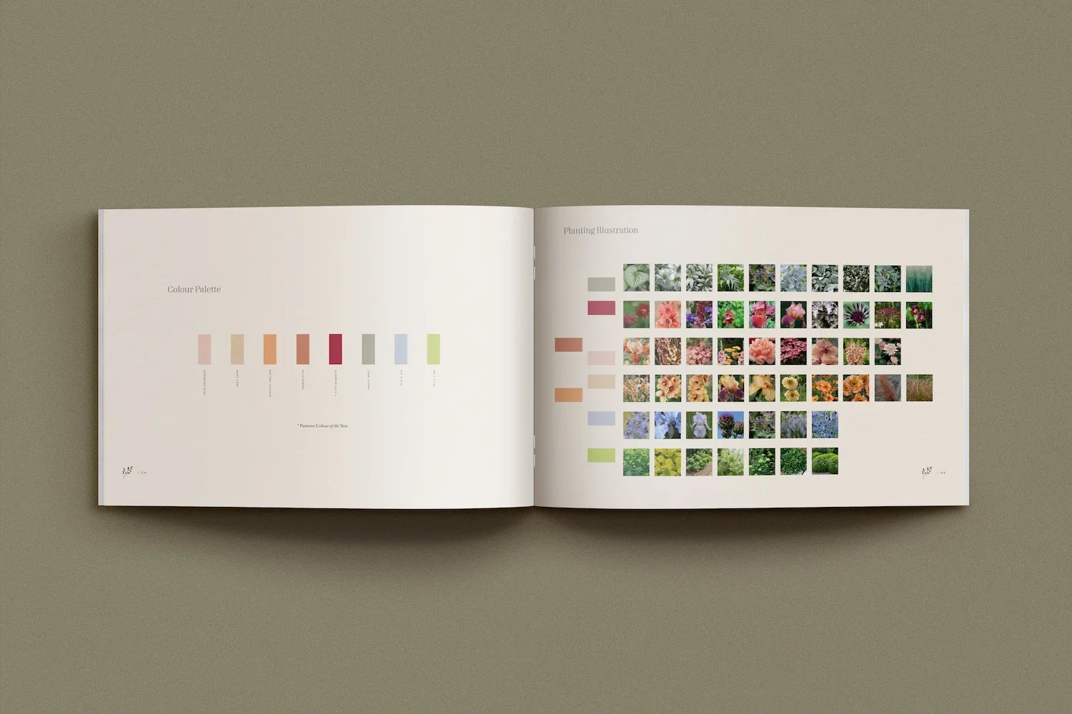 Open design portfolio booklet showcasing an urban garden colour palette grid and multi coloured floral plant illustrations