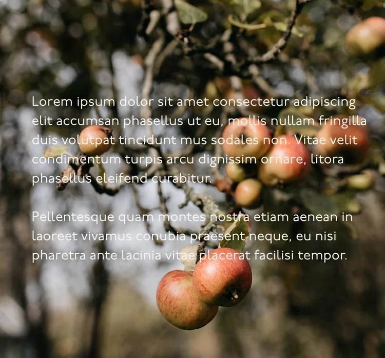 Red apples ripening on a tree branch with white placeholder text overlaid across the blurred natural background