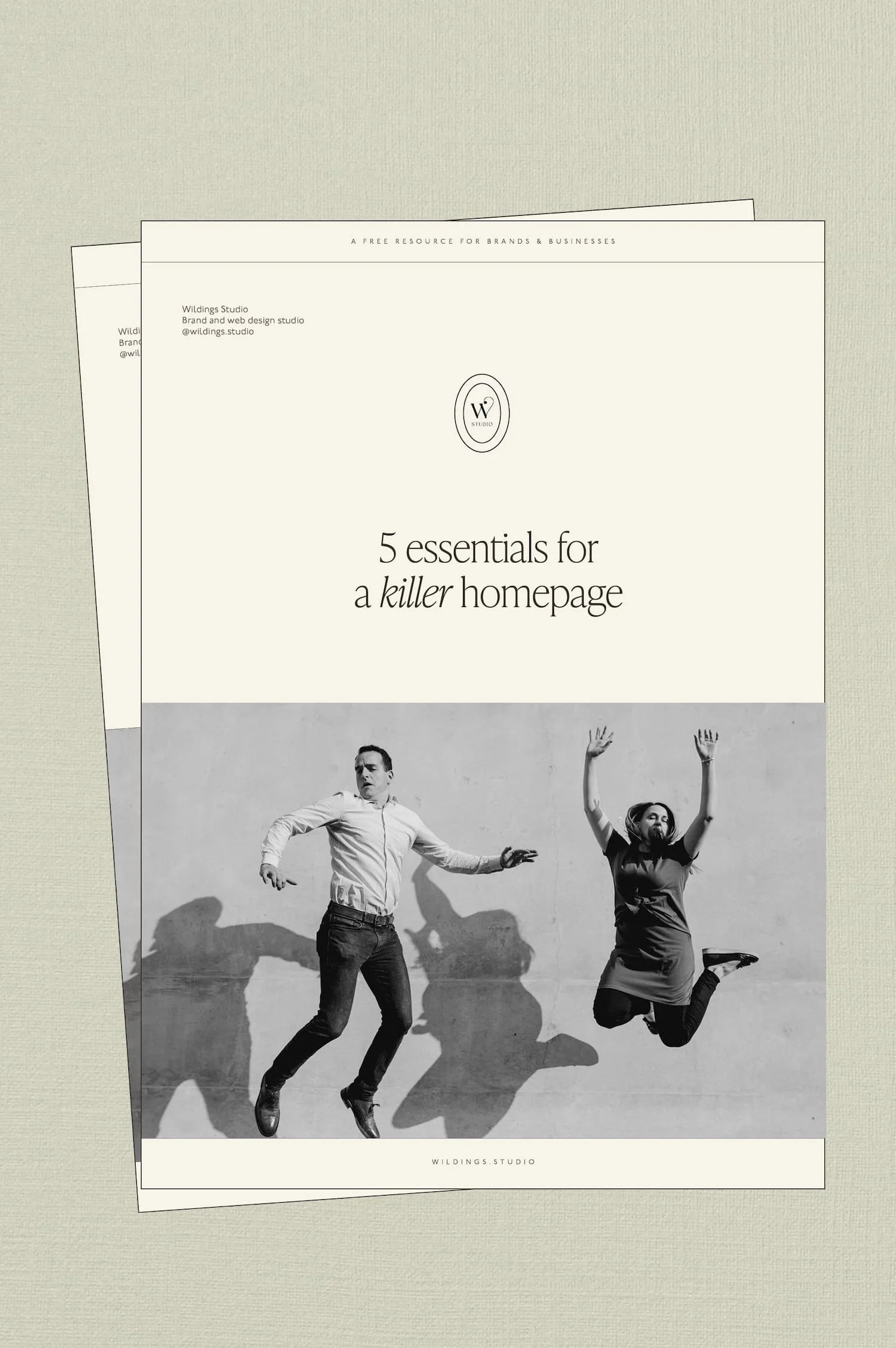 A resource titled 5 essentials for a killer homepage with a black and white photo of a man and woman jumping in the air