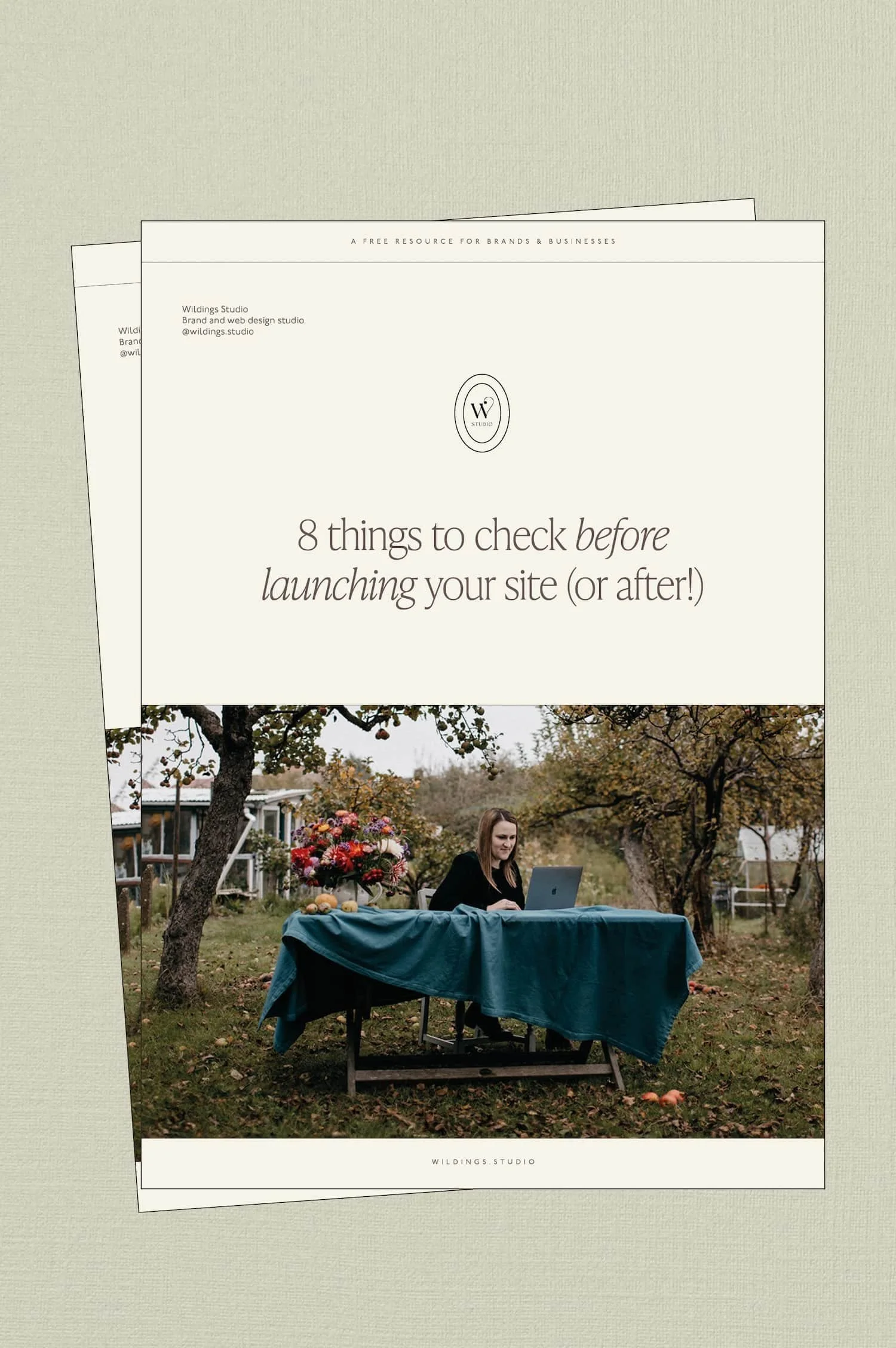 A guide titled 8 things to check before launching your site with a woman working on a laptop at a table in a garden