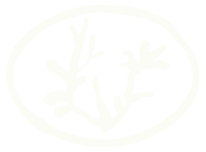 Cream linocut style seaweed logo on a black background for a branding and web design studio in Torquay South Devon