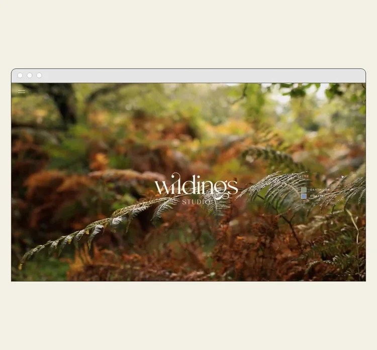 Browser window showing a Wildings Studio logo over a lush green forest scene with ferns in the blurred foreground