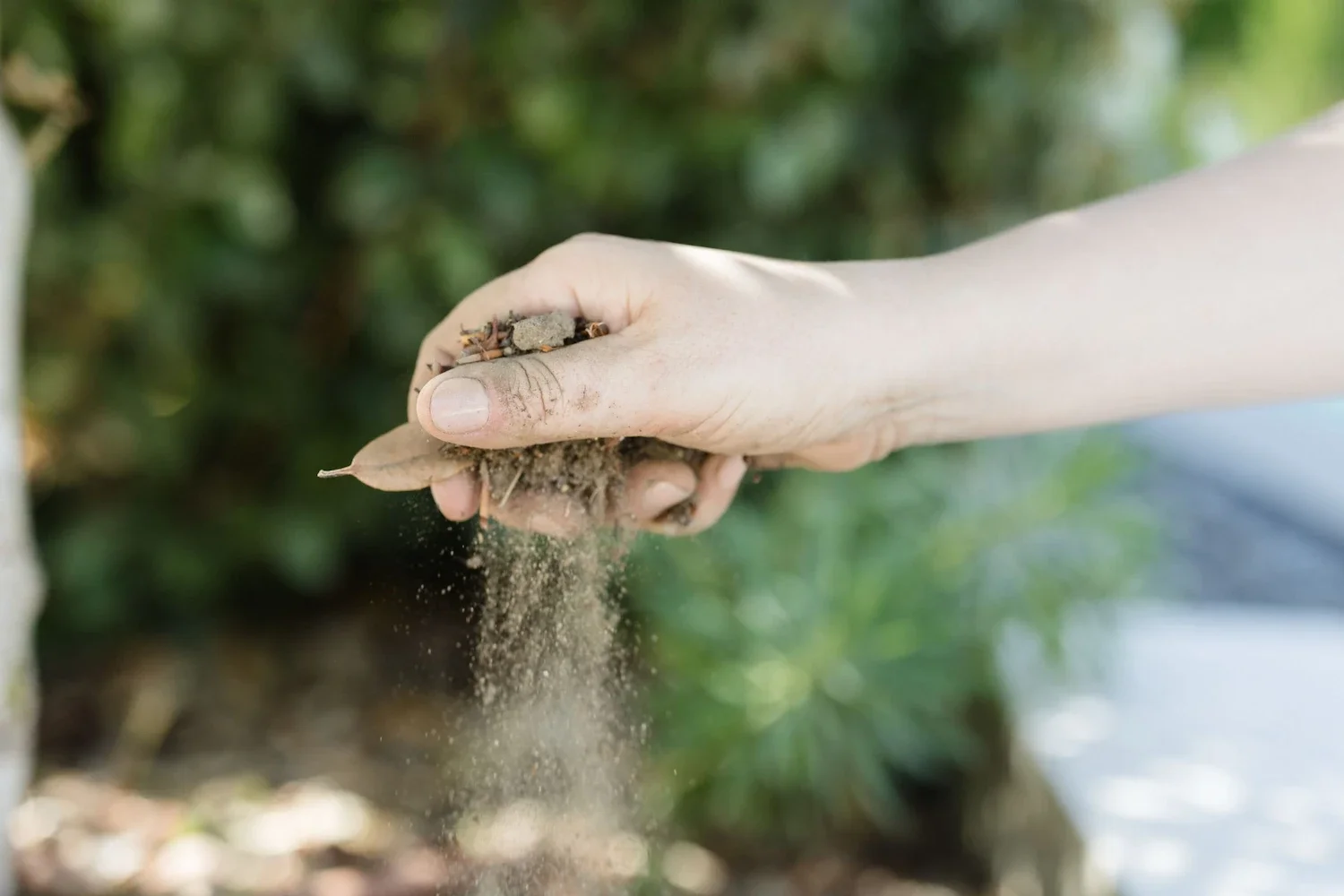Hands sifting through dry soil and organic garden matter to assess ground quality for planting schemes
