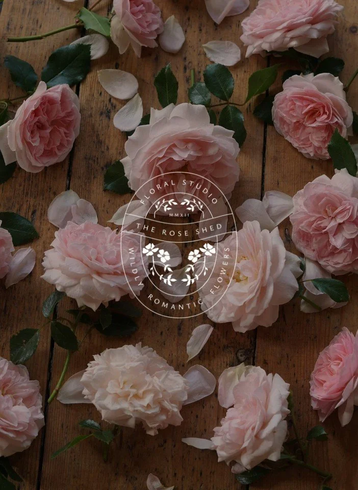 Delicate pink roses and petals scattered on a rustic wooden table with a white circular floral studio logo overlay
