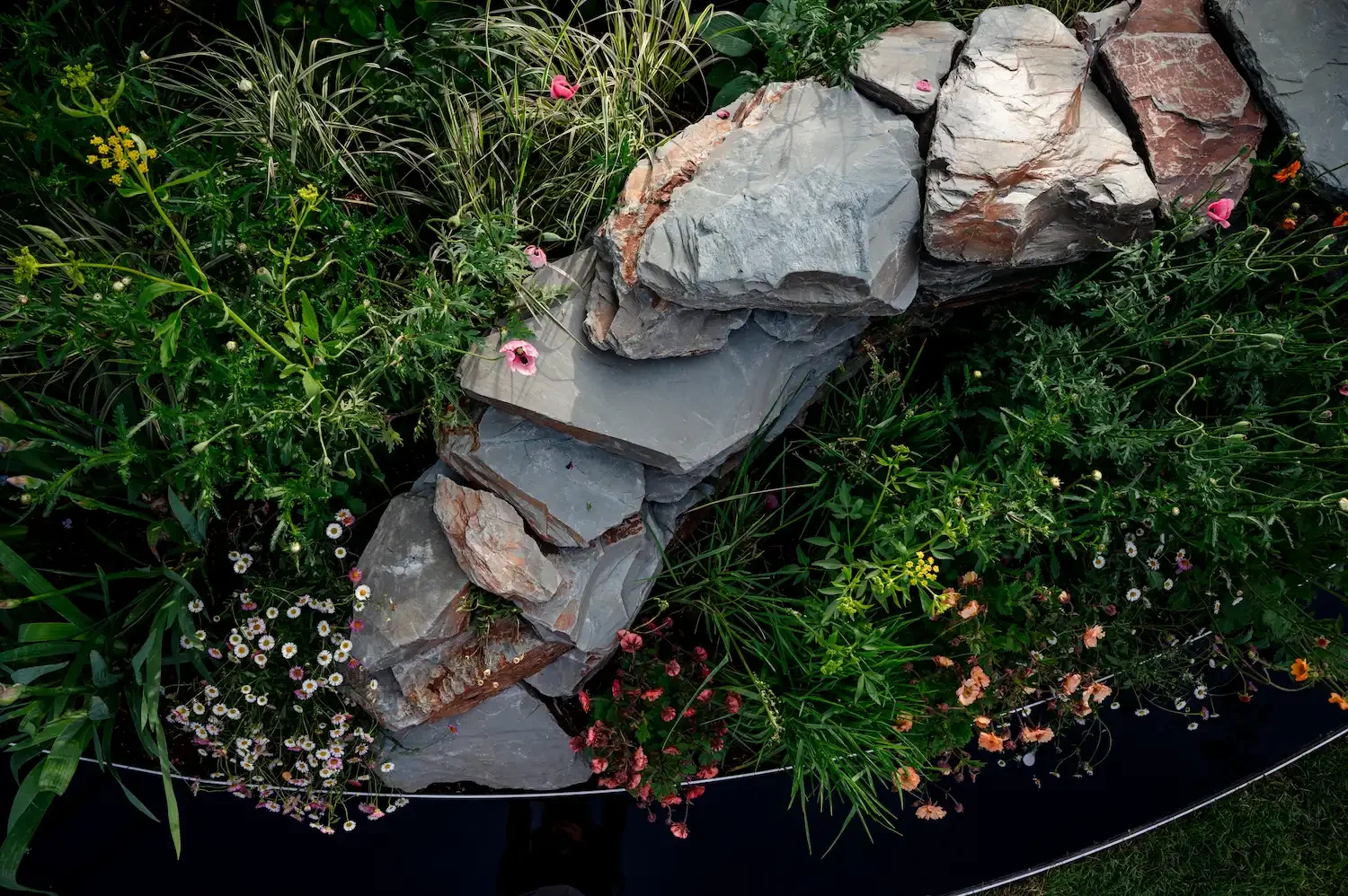 Top down view of a curved natural stone retaining wall bordered by lush garden planting, pink poppies and small daisies