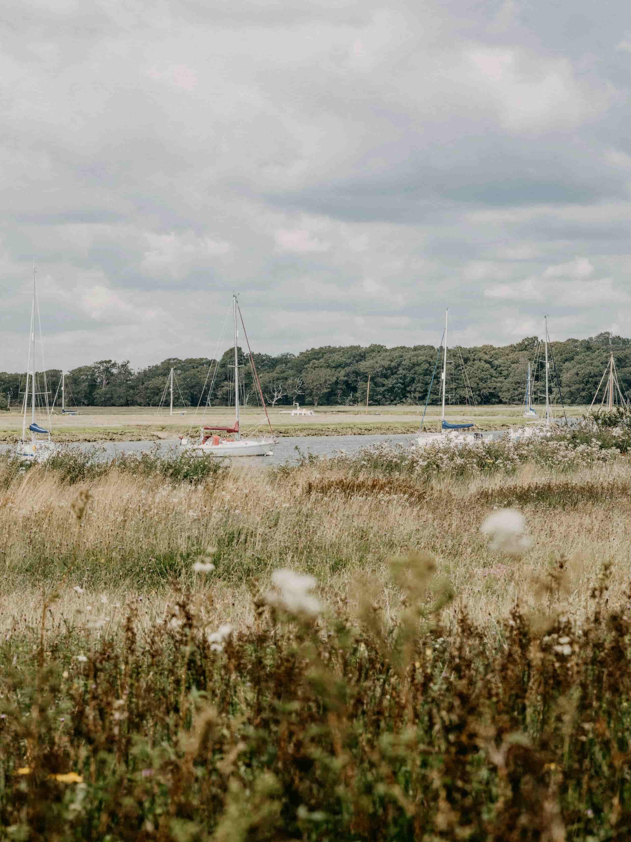 White sailboats moored on a calm river with a grassy bank and dense green trees under a cloudy sky in late summer