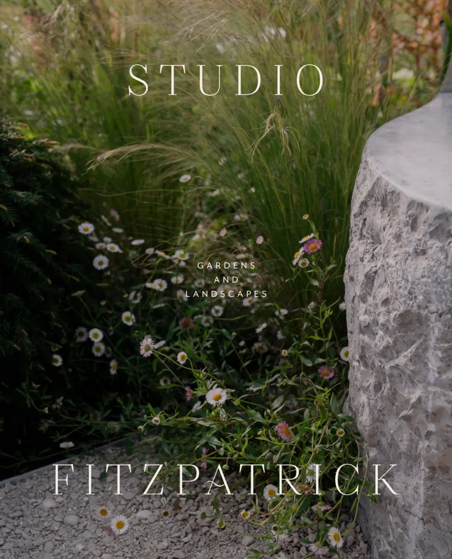 Studio Fitzpatrick logo overlaying natural garden scene with delicate white and pink daisies among long green grasses