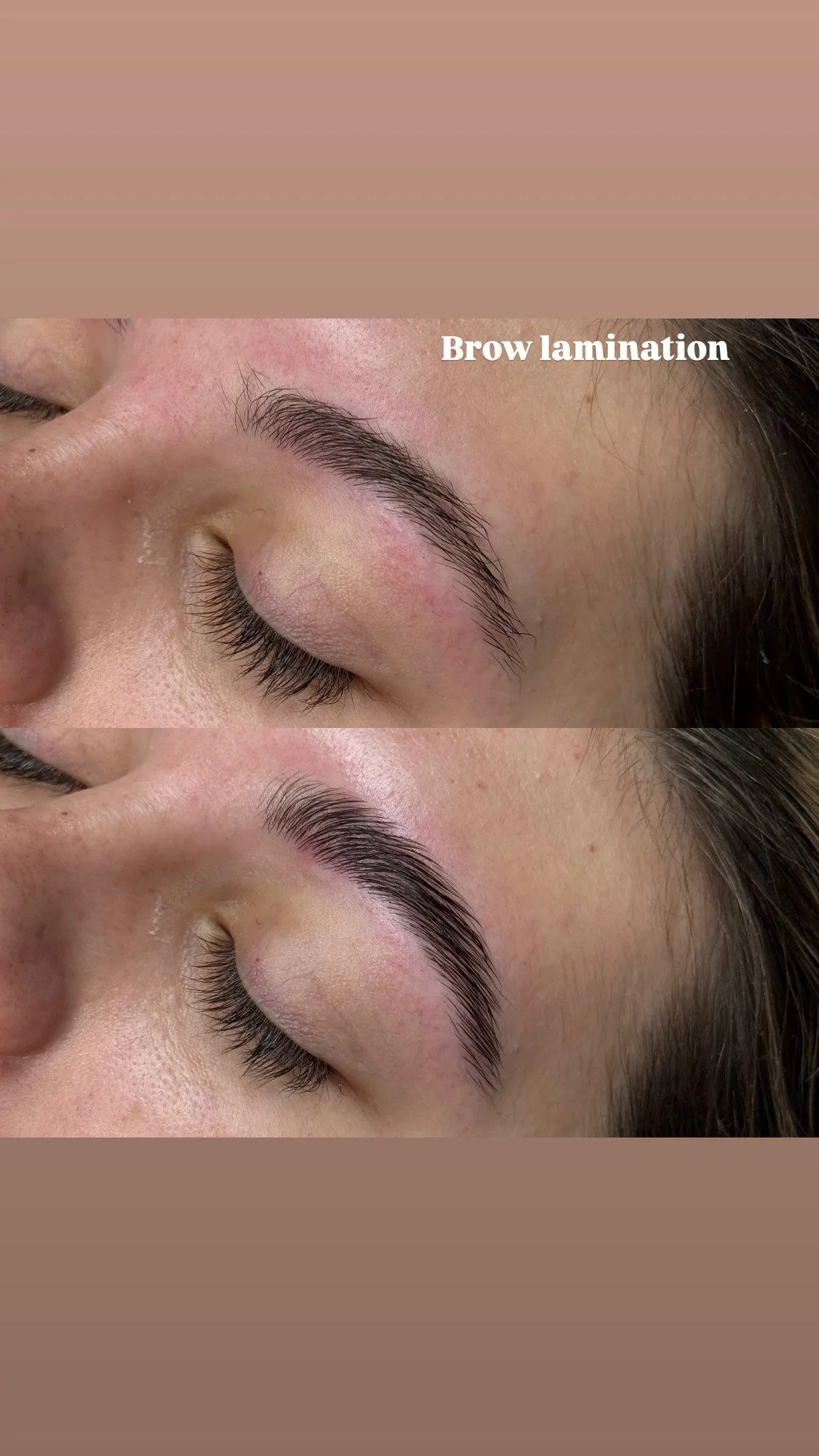 Brow lam 2.JPG