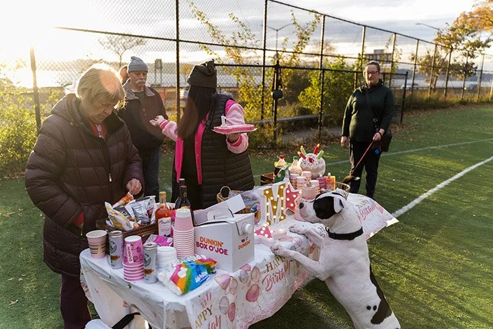 People having a birthday celebration outdoors on a tennis court with a dog. The table is decorated with birthday items, snacks, and drinks, and a woman in pink is holding a cake.