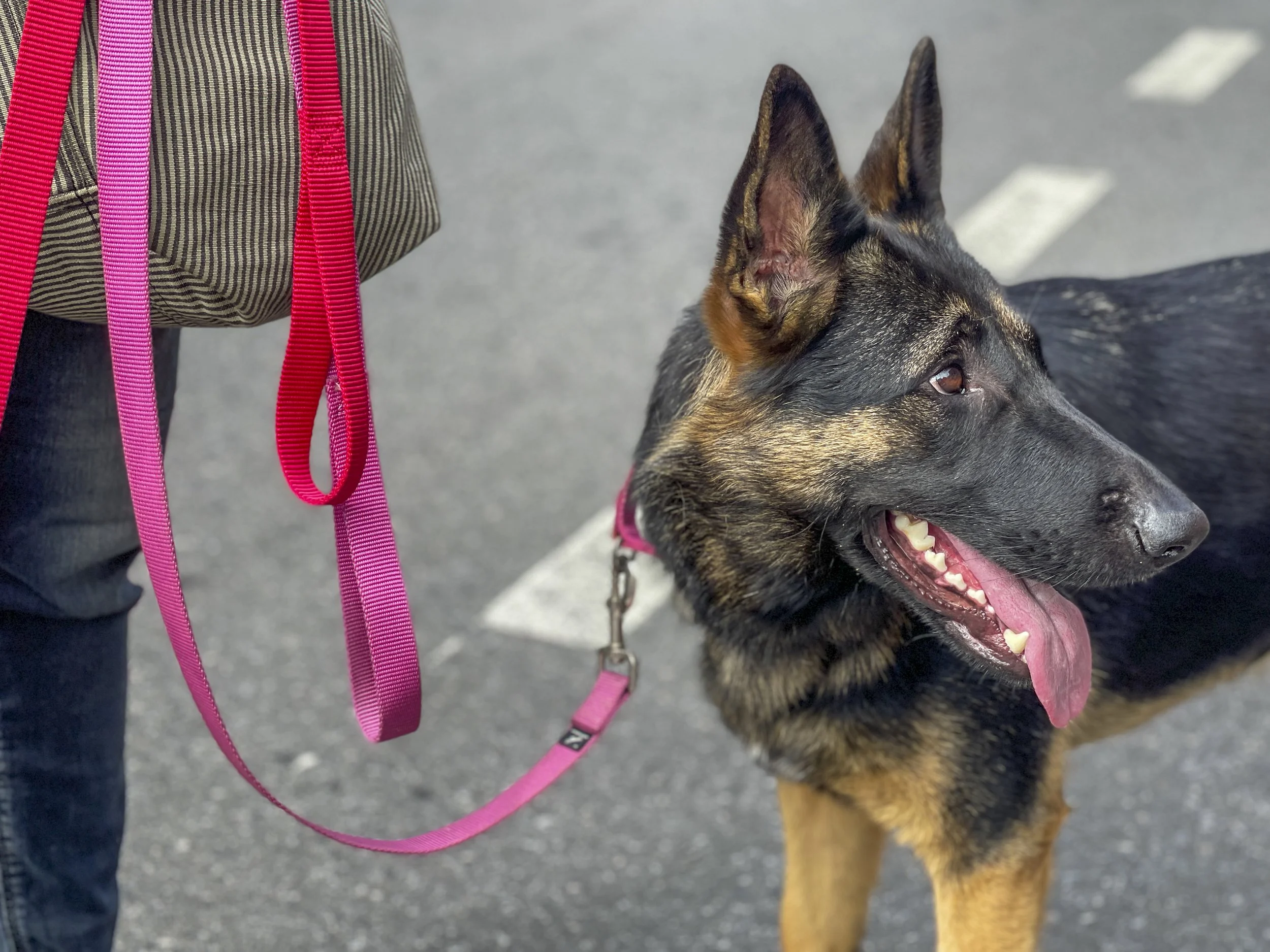 ESME_SQ_IMG_2417 3.jpg