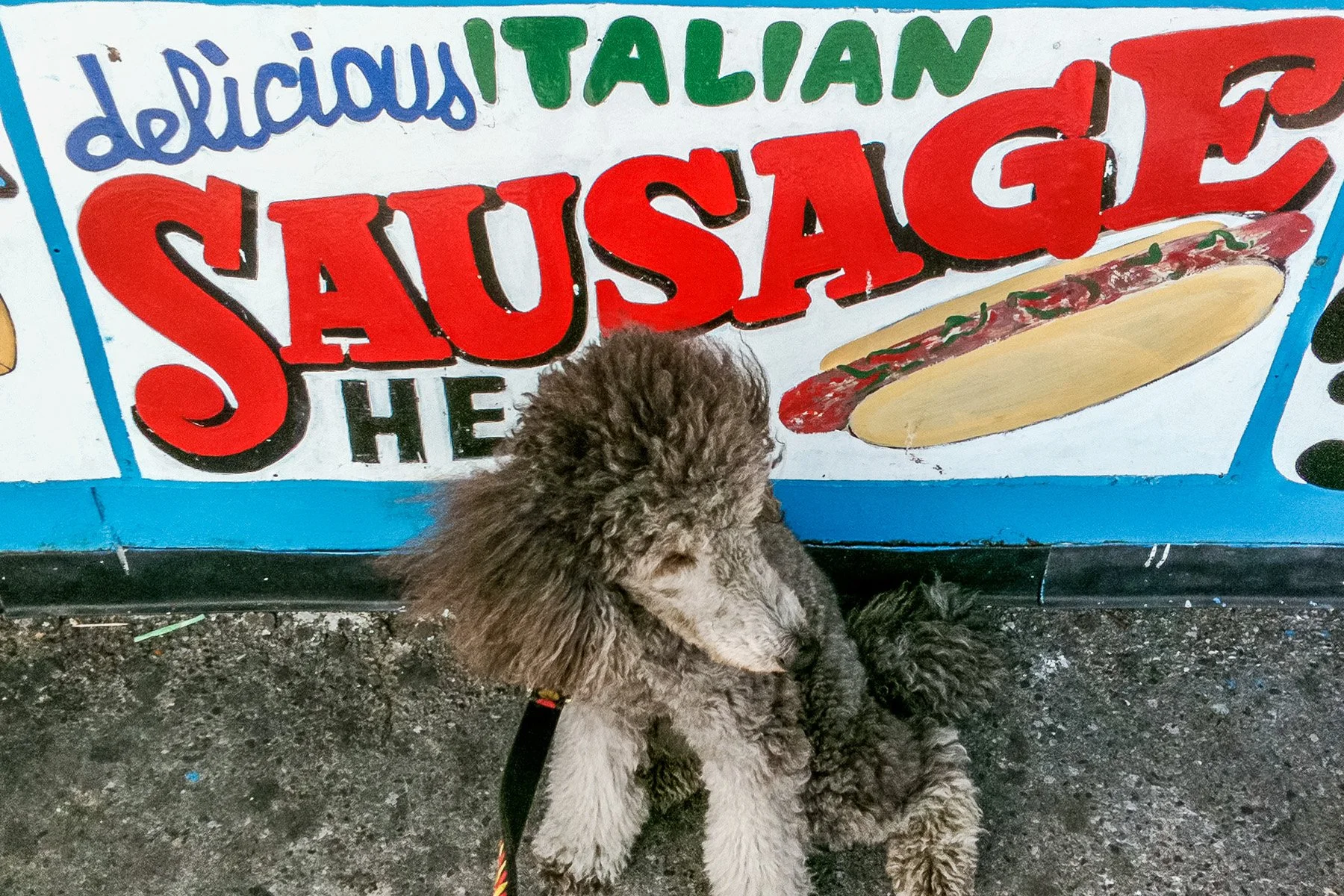 MIKI_BEO_WEBconeyoriginalCCIMG_0232 copy 4.jpg