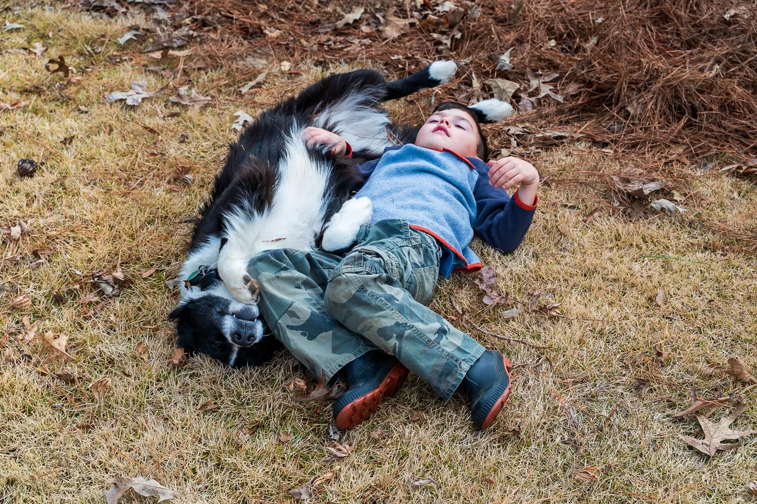 A young boy with dark hair wearing a blue jacket, camo pants, and black shoes, lying on his back on a grassy lawn, resting next to a black and white dog that is lying on its side.
