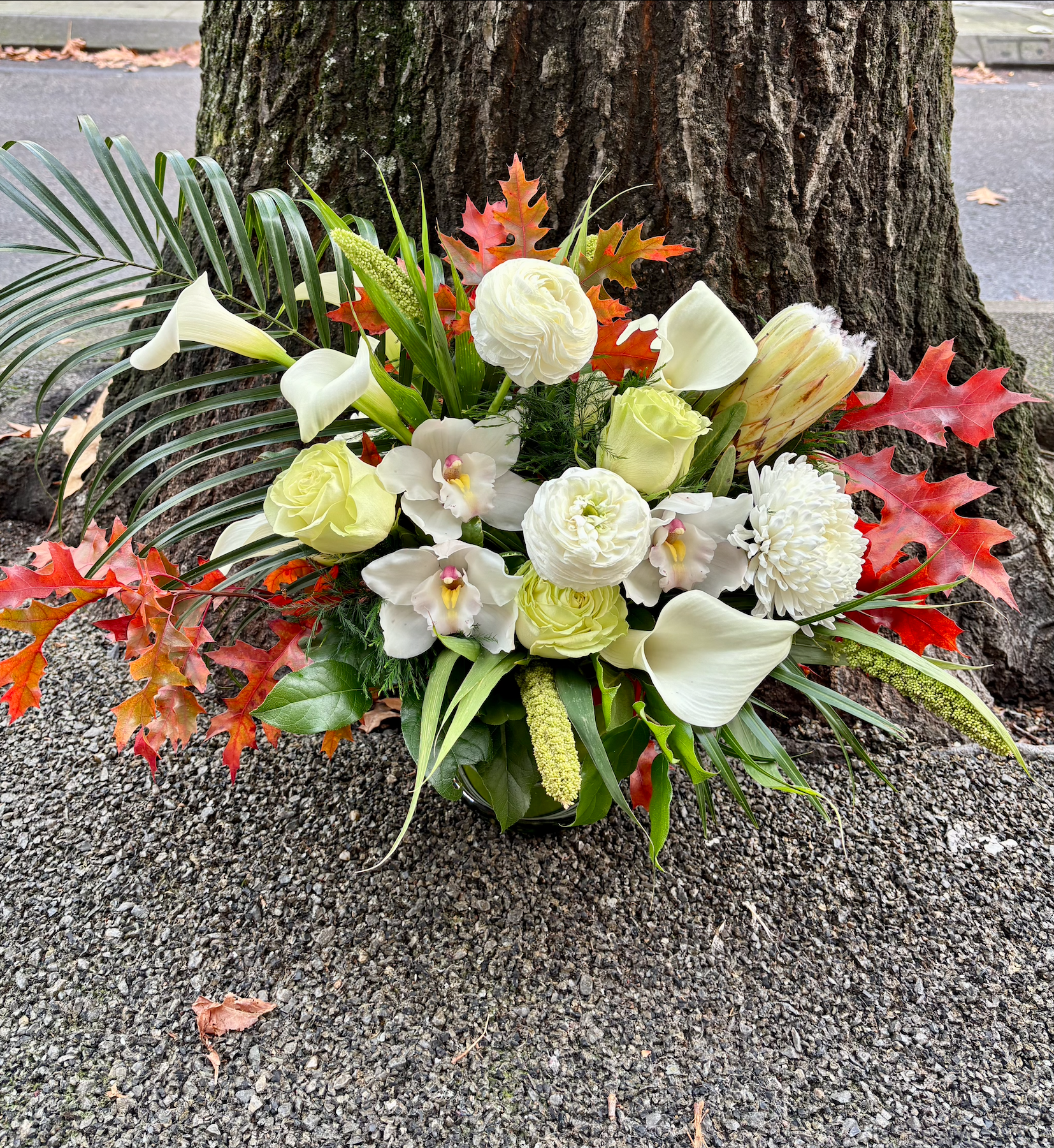 A floral arrangement with white roses, calla lilies, orchids, and chrysanthemums, accented with red and orange maple leaves and various green foliage, placed at the base of a tree trunk.