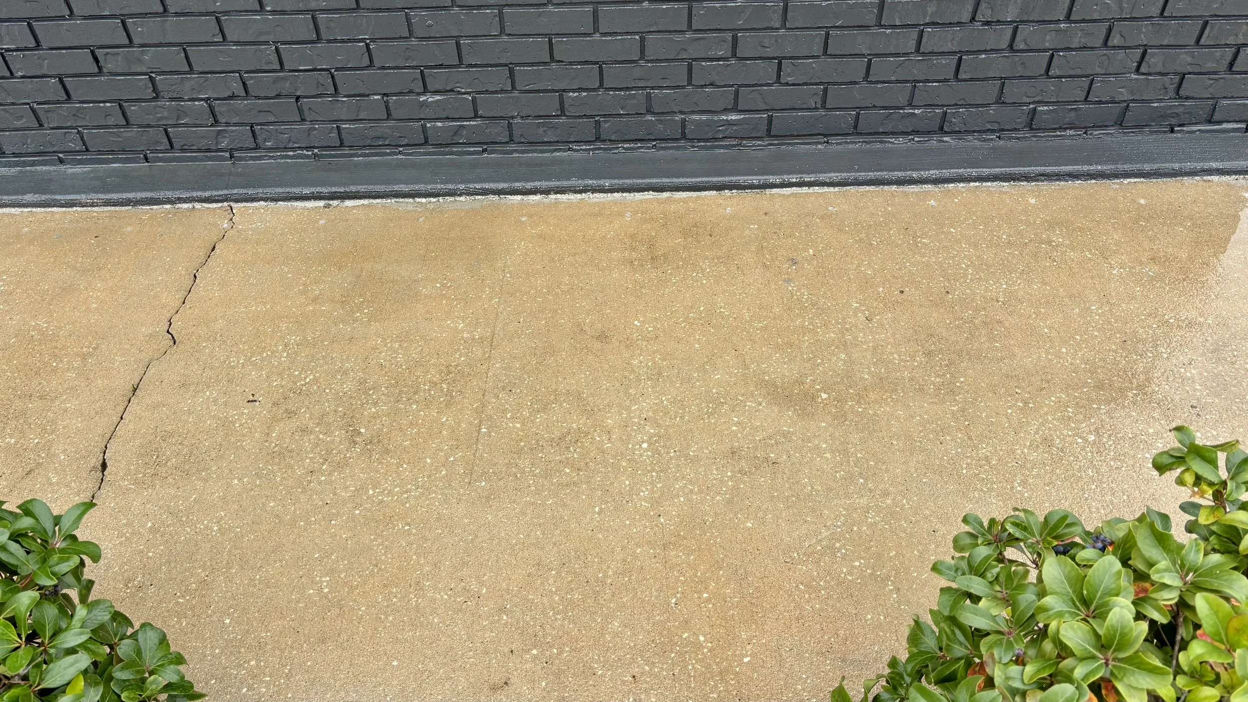 Concrete sidewalk with visible cracks, black brick wall in the background, and green shrubbery at the bottom right corner.