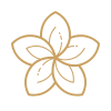Stylized gold outline of a flower with five petals