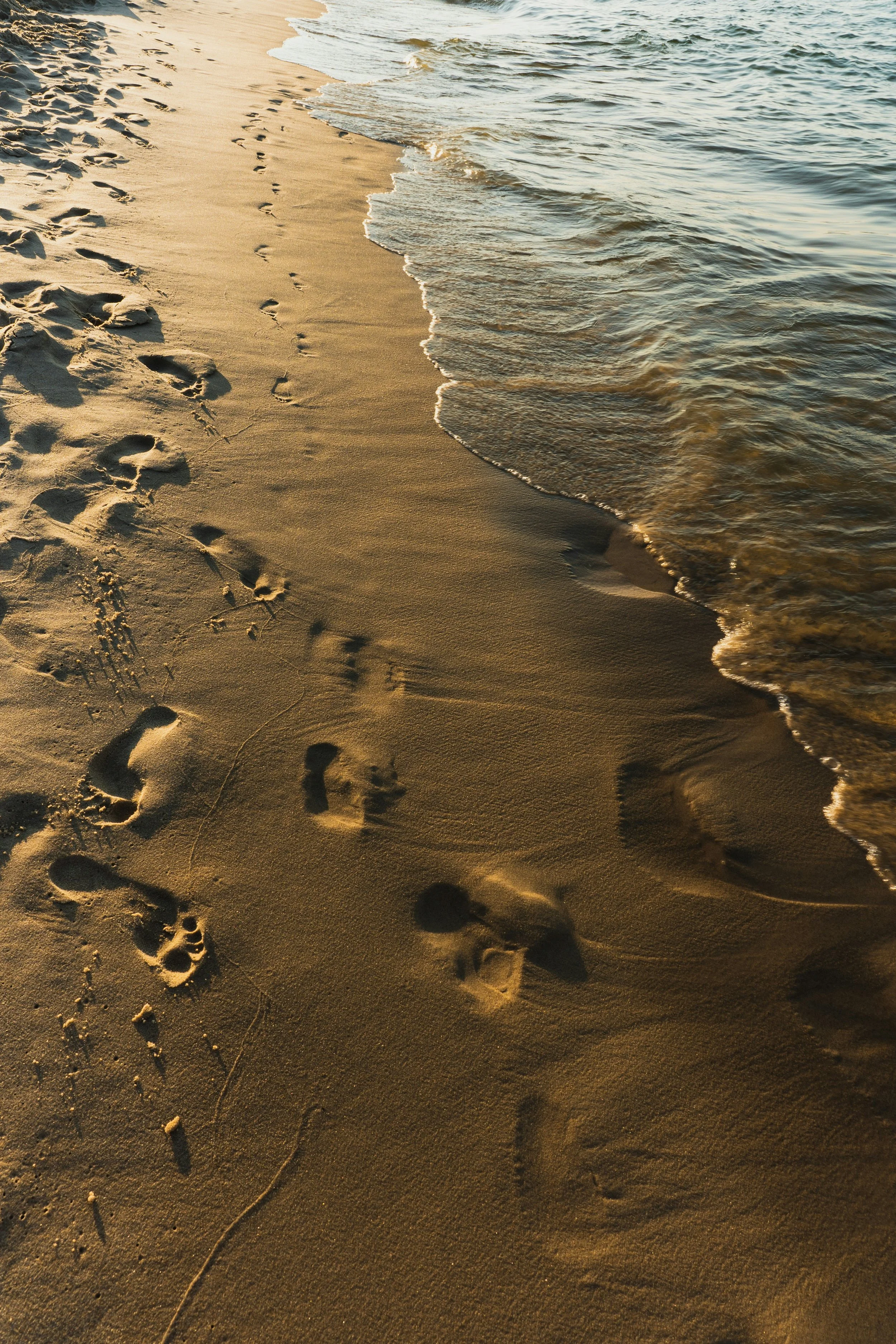 Footprints in the sand along a shoreline at sunset.
