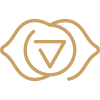 A minimalist gold emblem with a stylized triangle and circular design inside