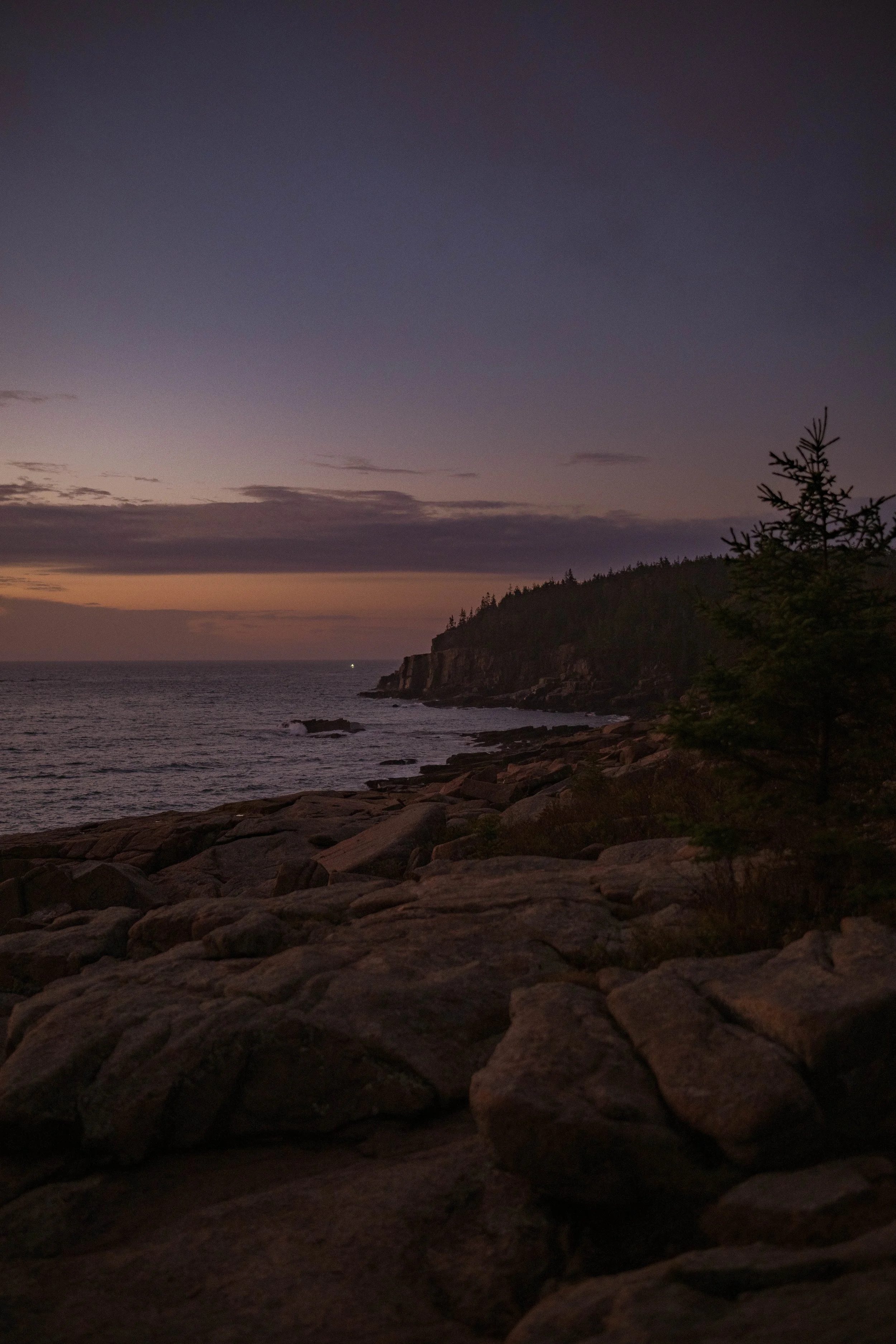 Sunrise proposal in Acadia