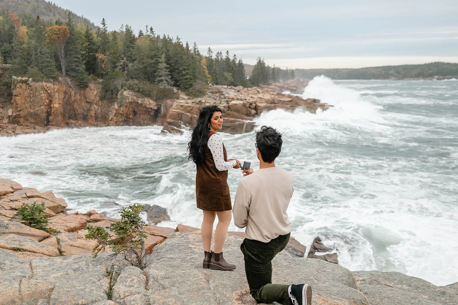 maine surprise proposal along the coast overlooking ocean