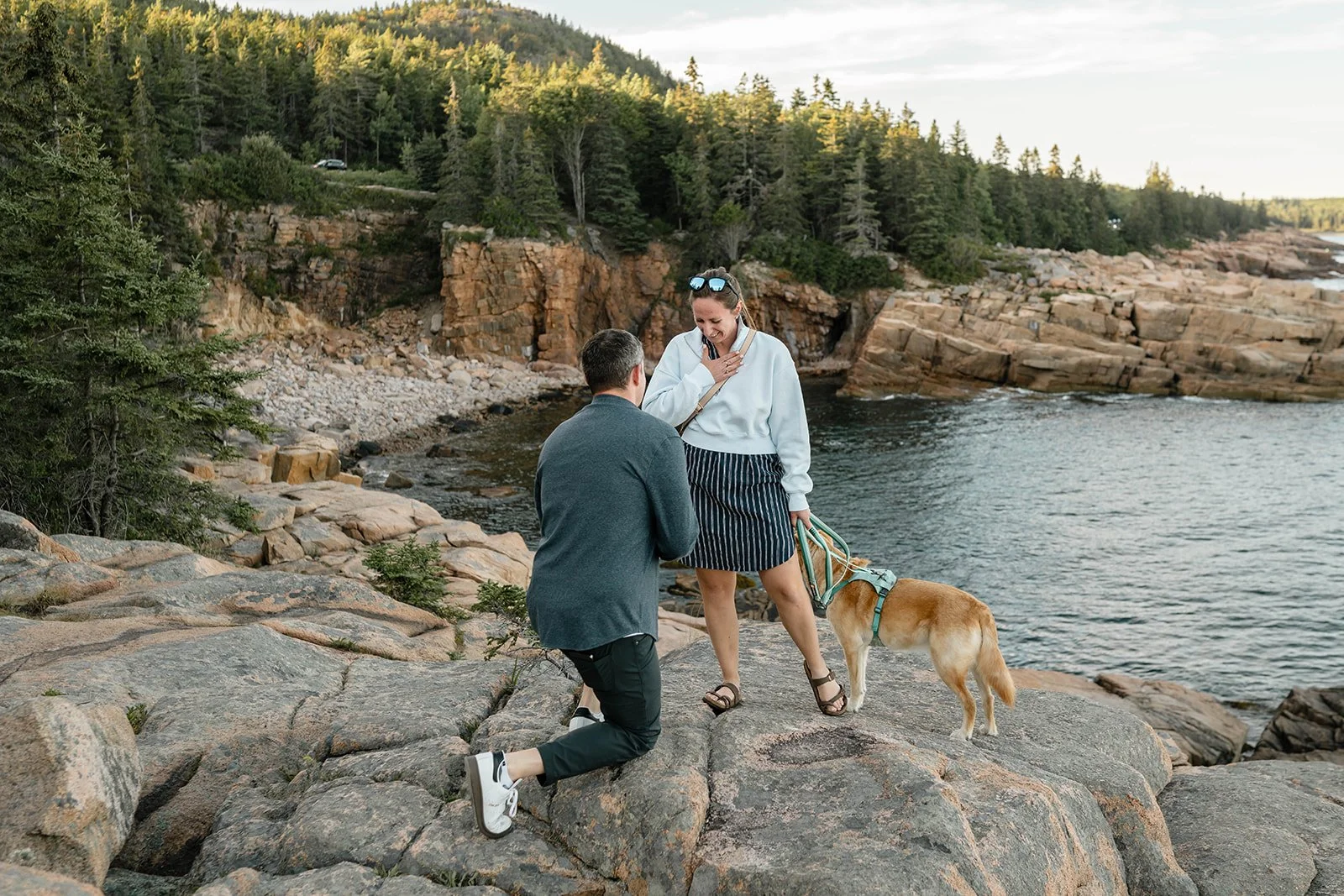 maine surprise proposal on a cliff overlooking the ocean