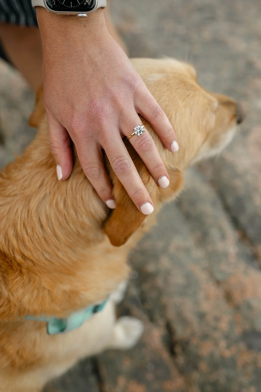 maine-surprise-proposal (23).jpg