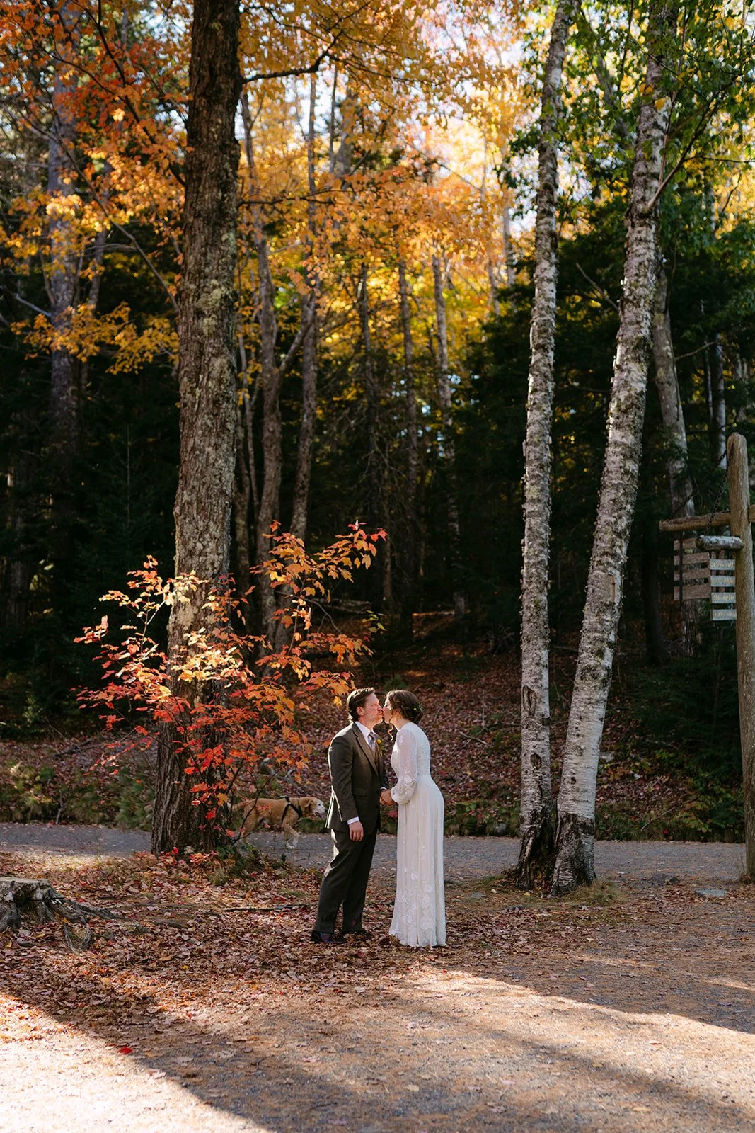 colorful fall elopement in maine