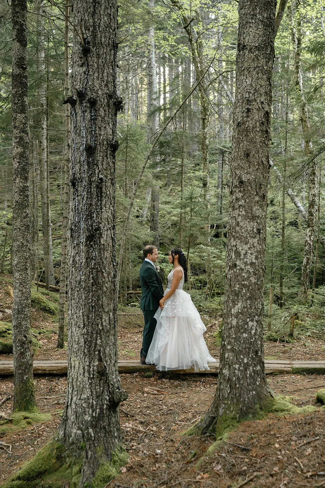 acadia national park elopement in a lush forest