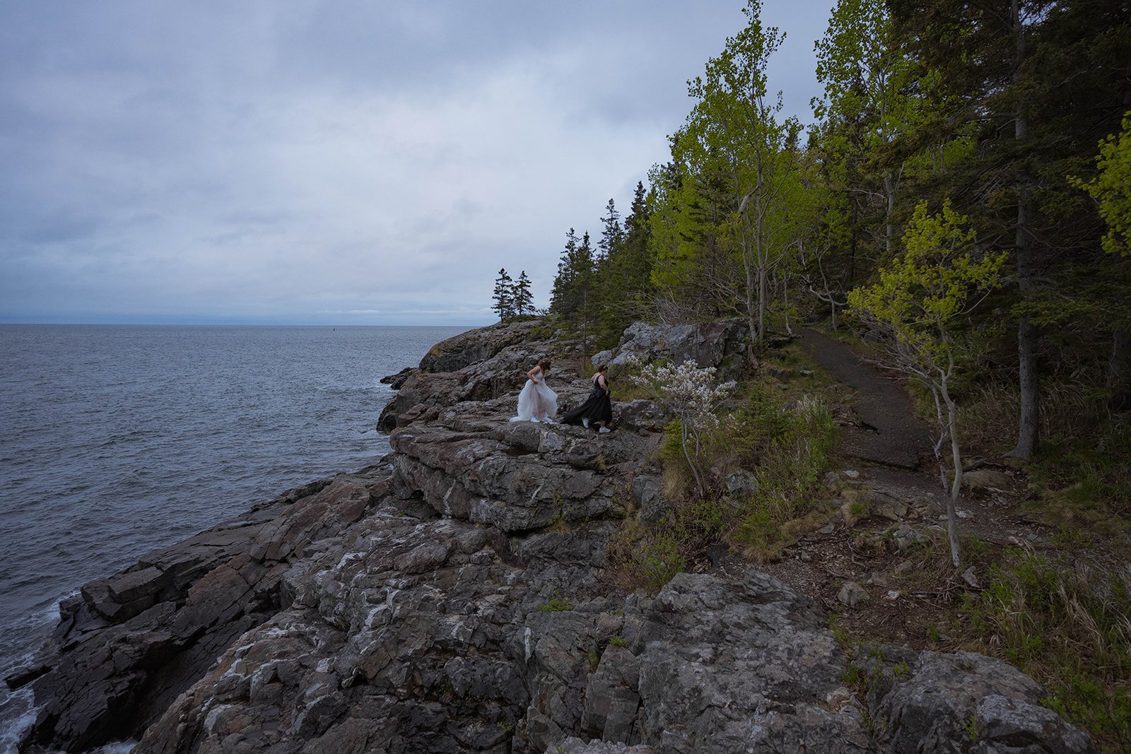 moody lgbtq coastal elopement in acadia national park during sunrise