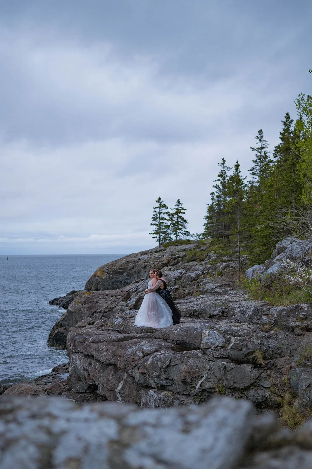 moody lgbtq coastal elopement in acadia national park during sunrise