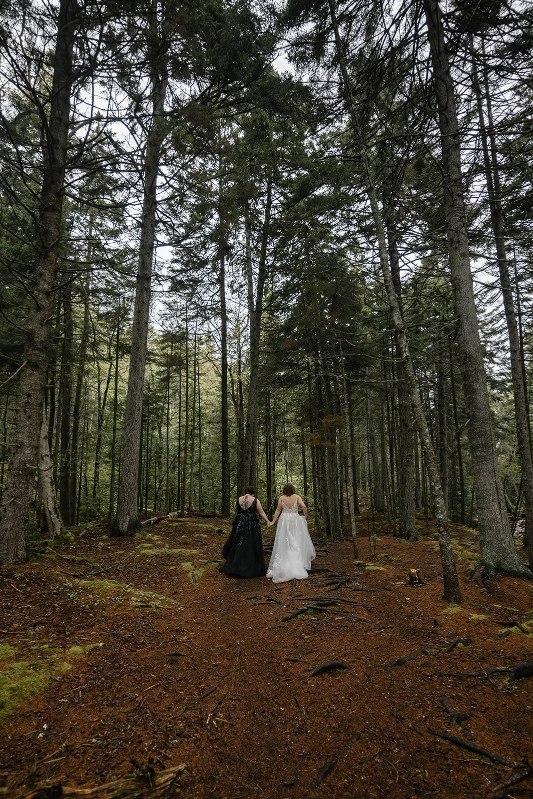 moody lgbtq coastal elopement in acadia national park during sunrise
