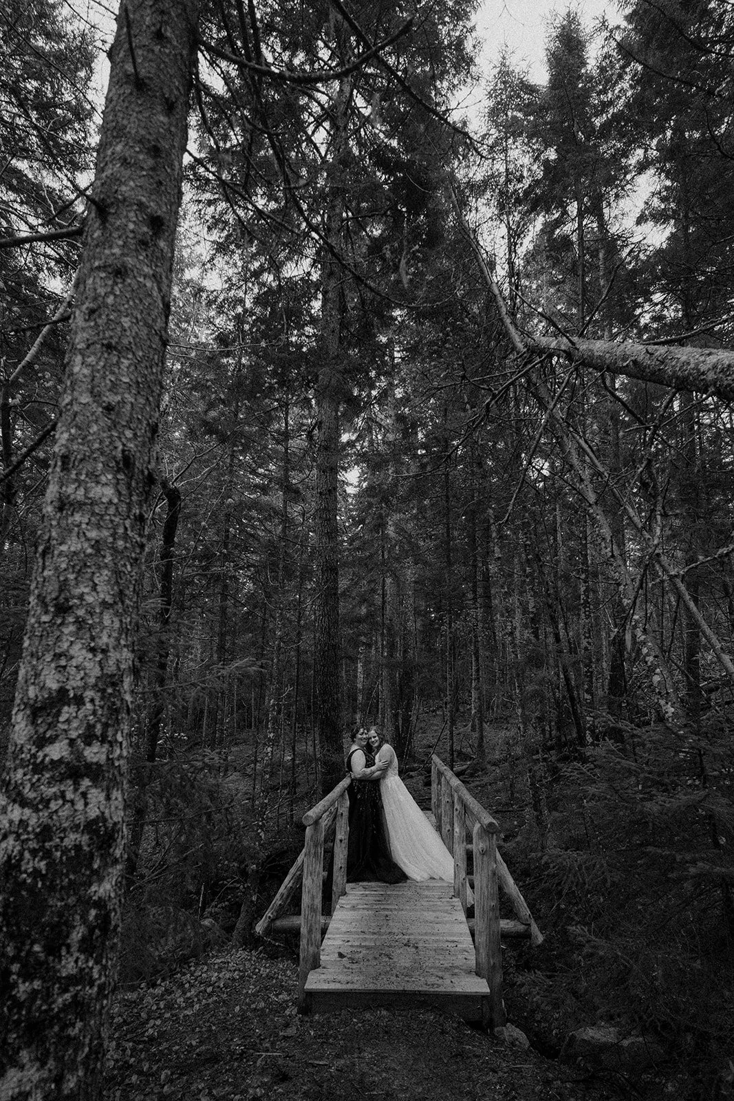 moody lgbtq coastal elopement in acadia national park during sunrise