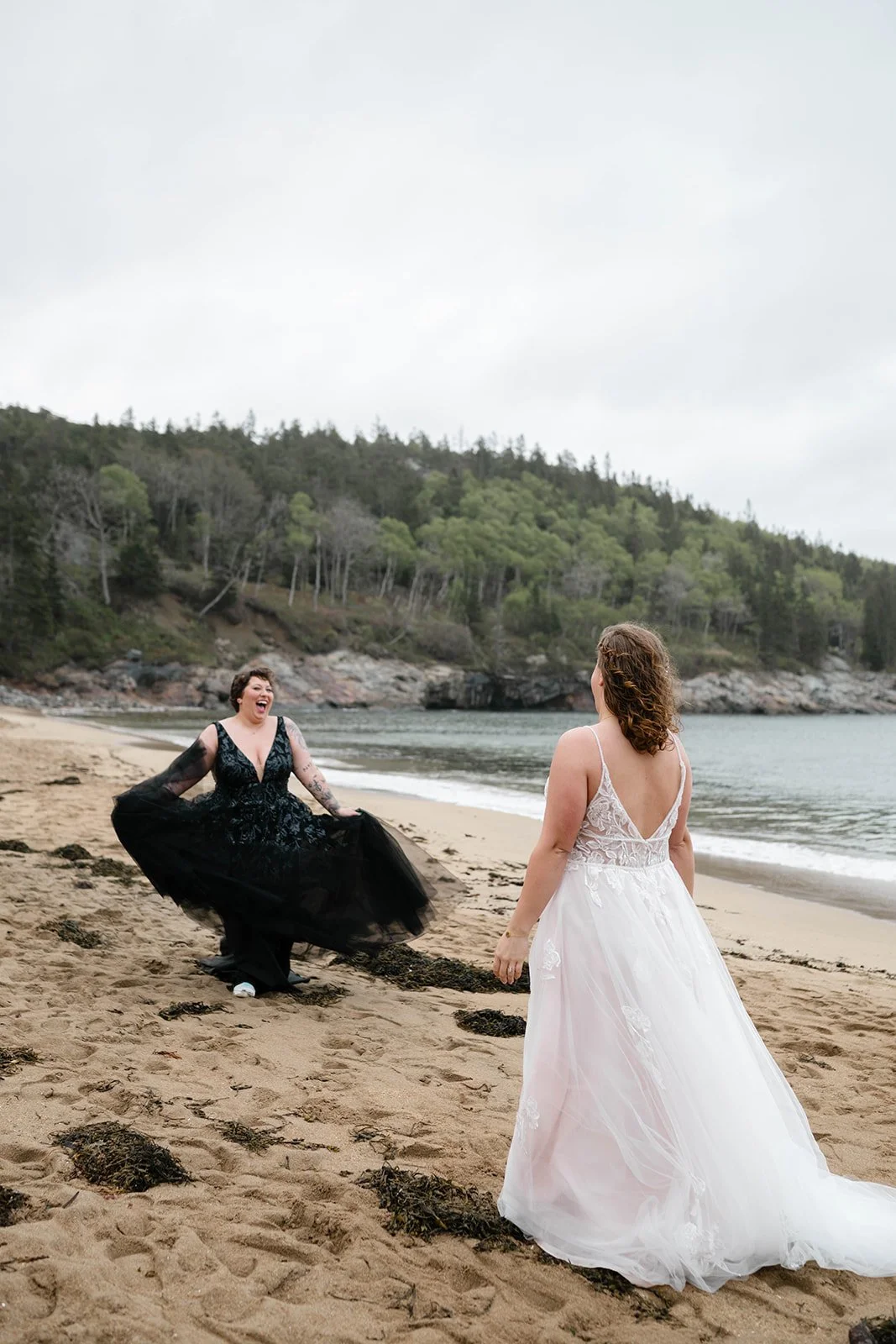 moody lgbtq coastal elopement in acadia national park during sunrise
