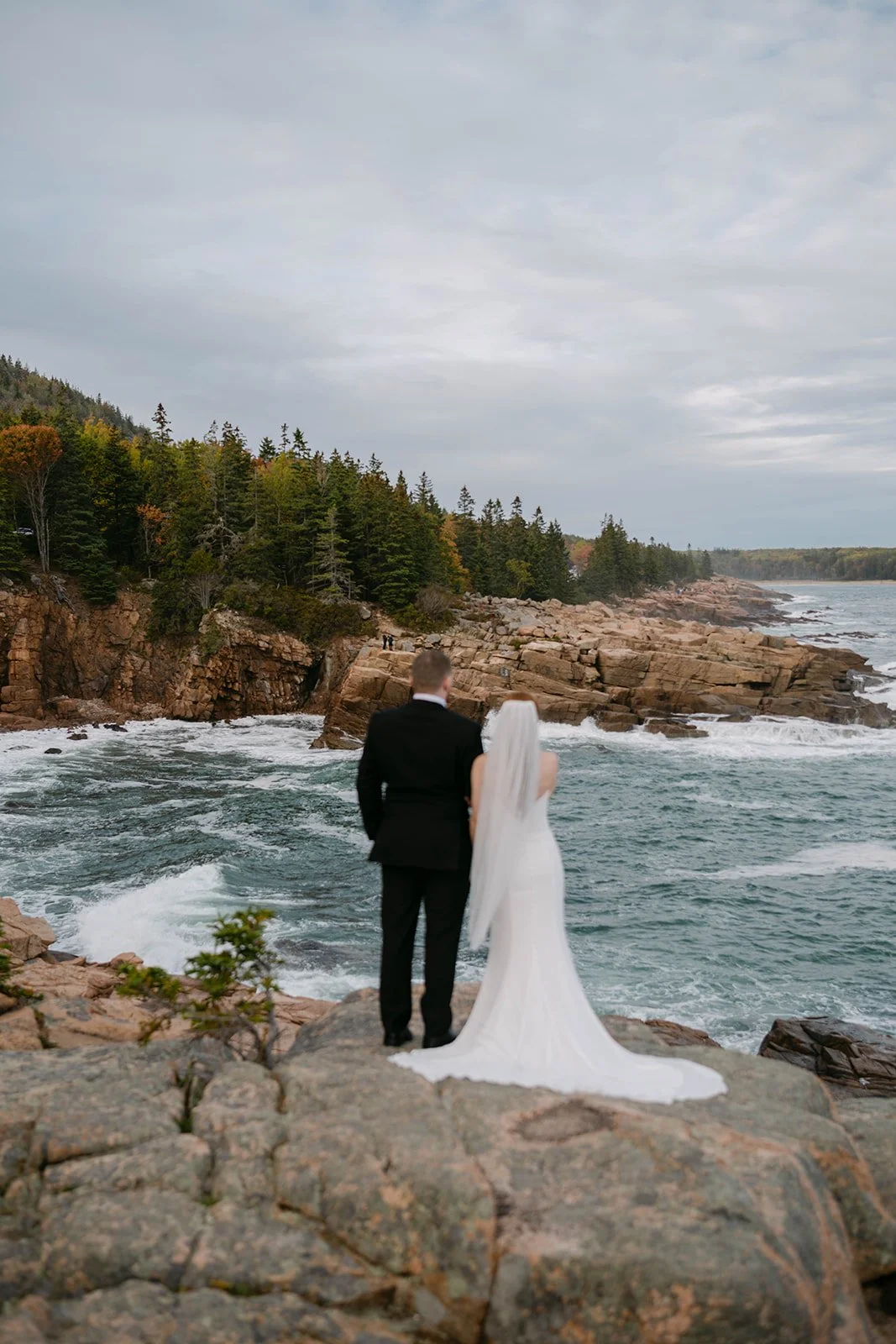 acadia-elopement-locations (8).jpg