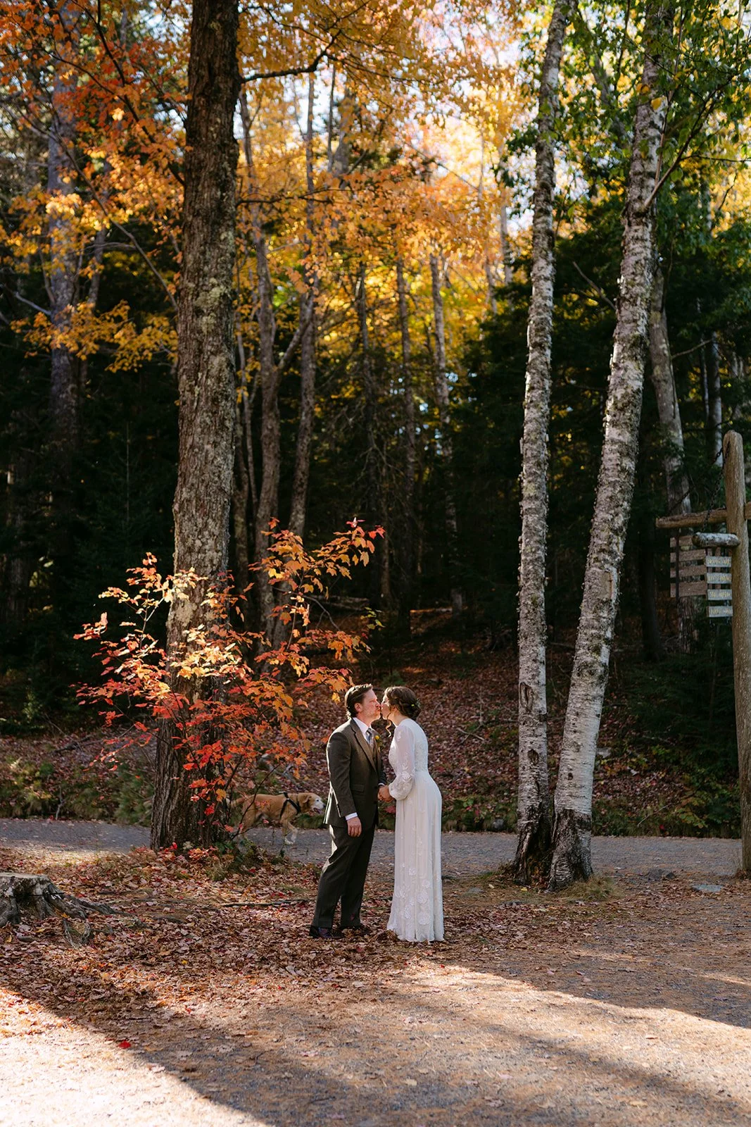 acadia-elopement-locations (2).jpg