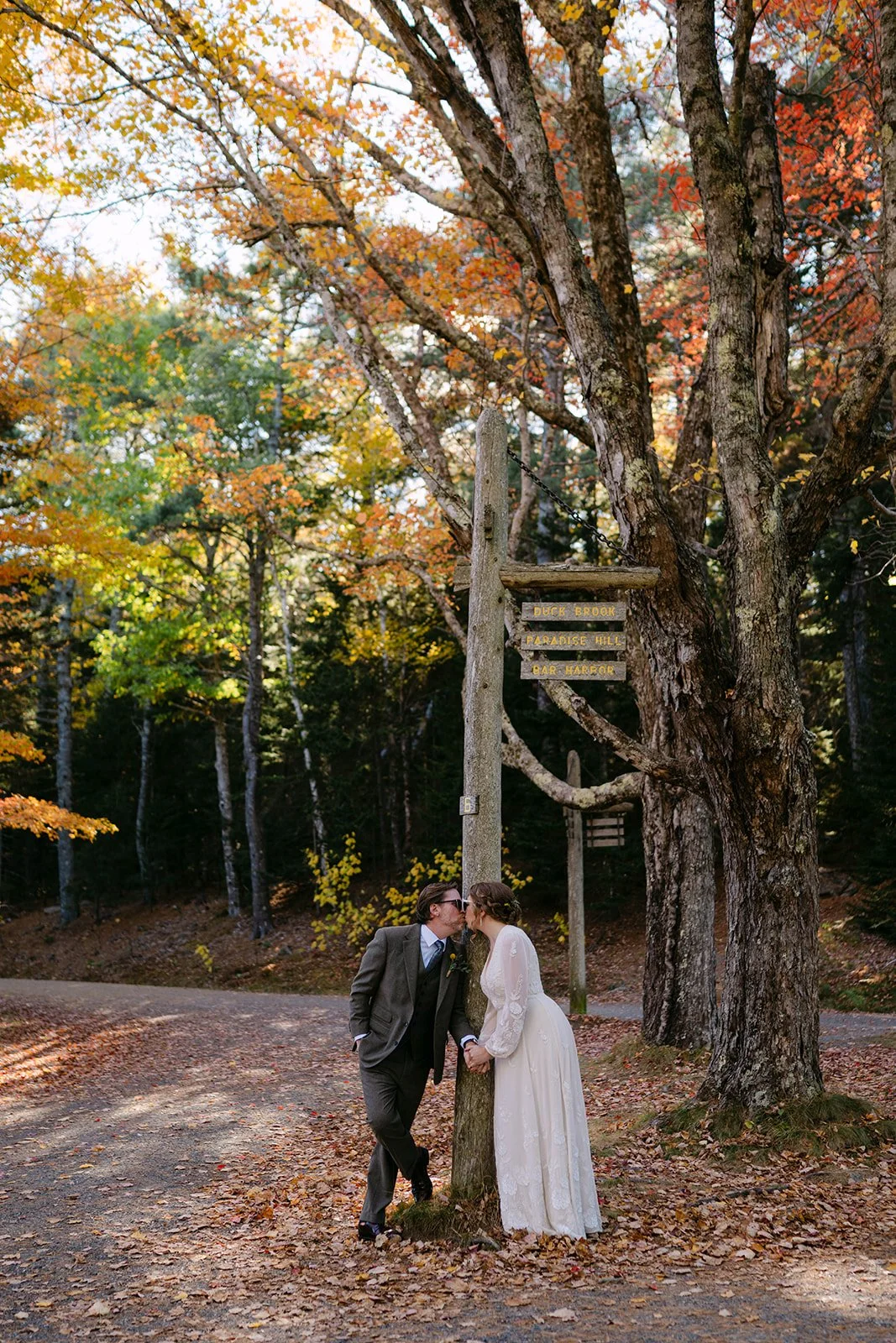 acadia-elopement-locations (5).jpg