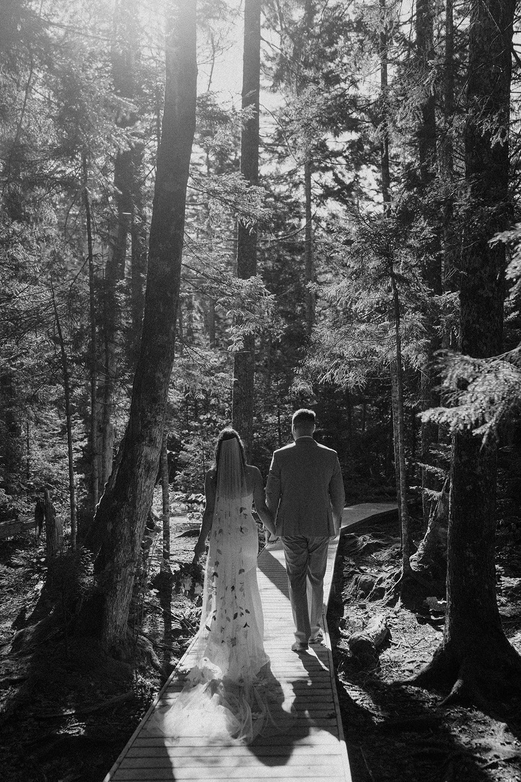 elegant-elopement-acadia-national-park (23).jpg
