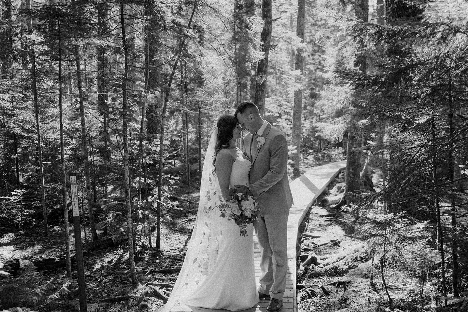 elegant-elopement-acadia-national-park (18).jpg