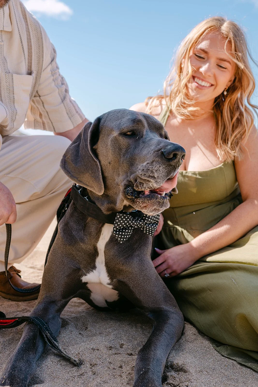couple and their dog during their engagement session at Sand Beach in Acadia