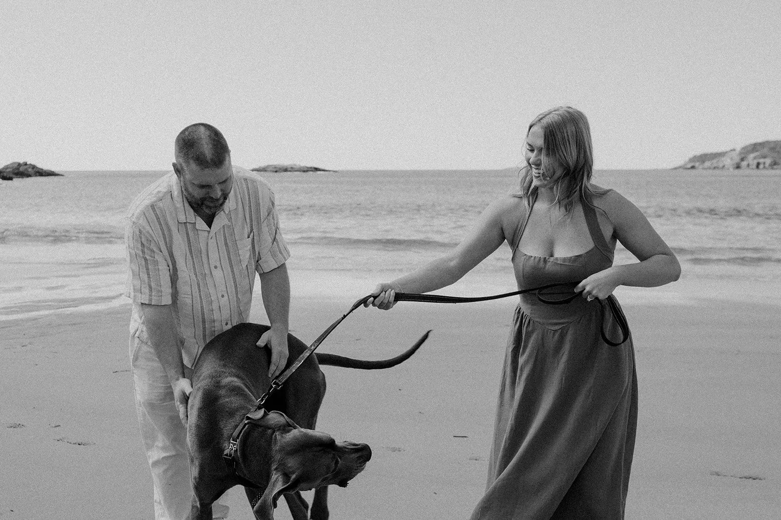 couple and their dog during their engagement session at Sand Beach in Acadia