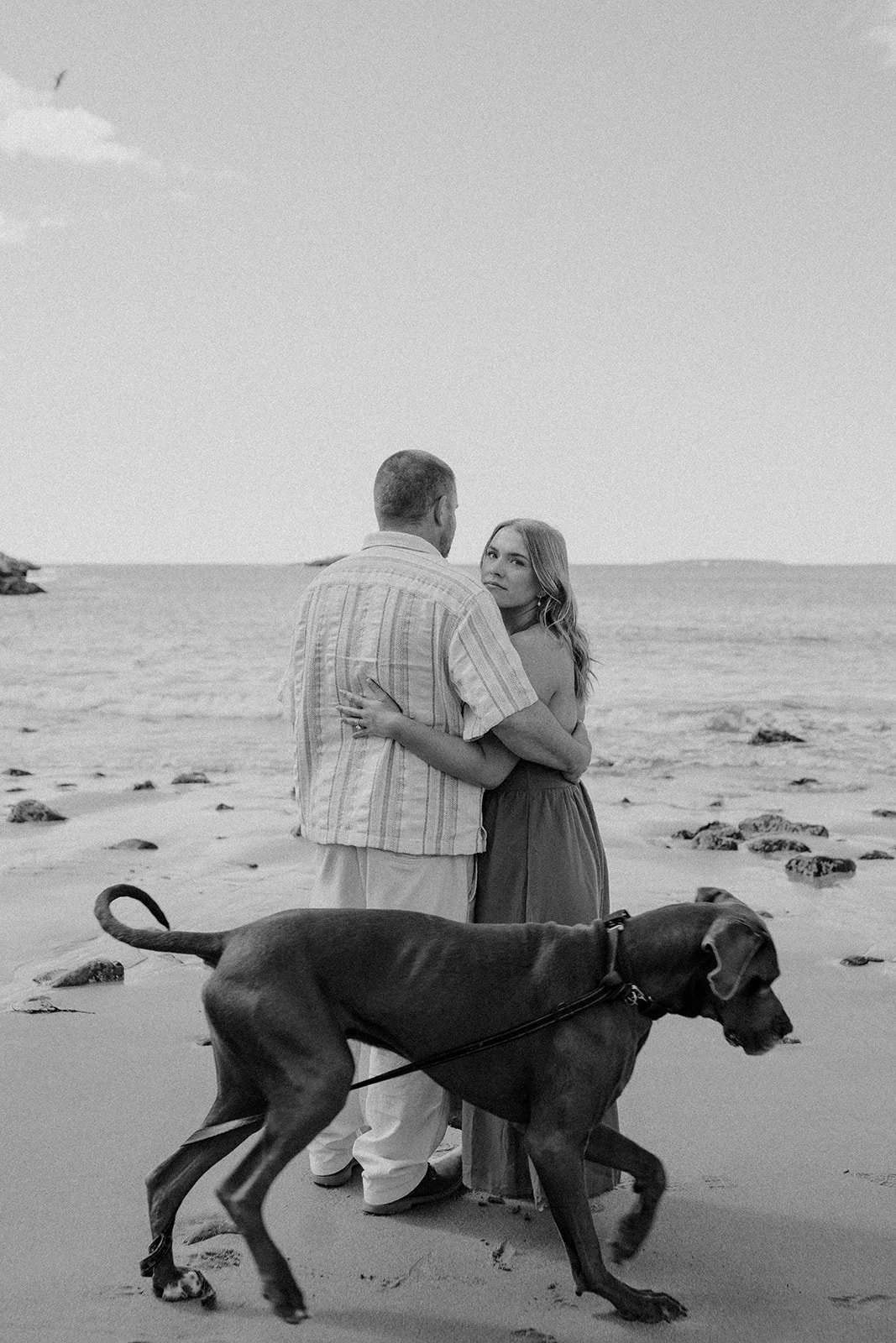 couple and their dog during their engagement session at Sand Beach in Acadia