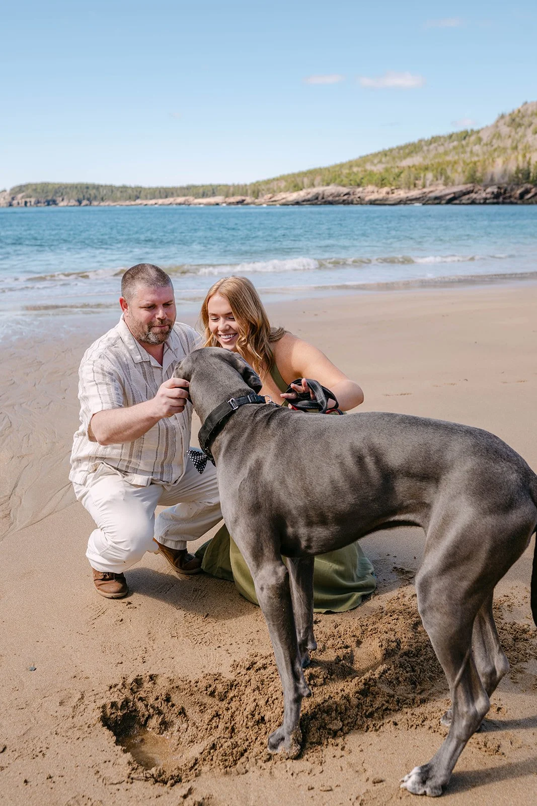 couple and their dog during their engagement session at Sand Beach in Acadia