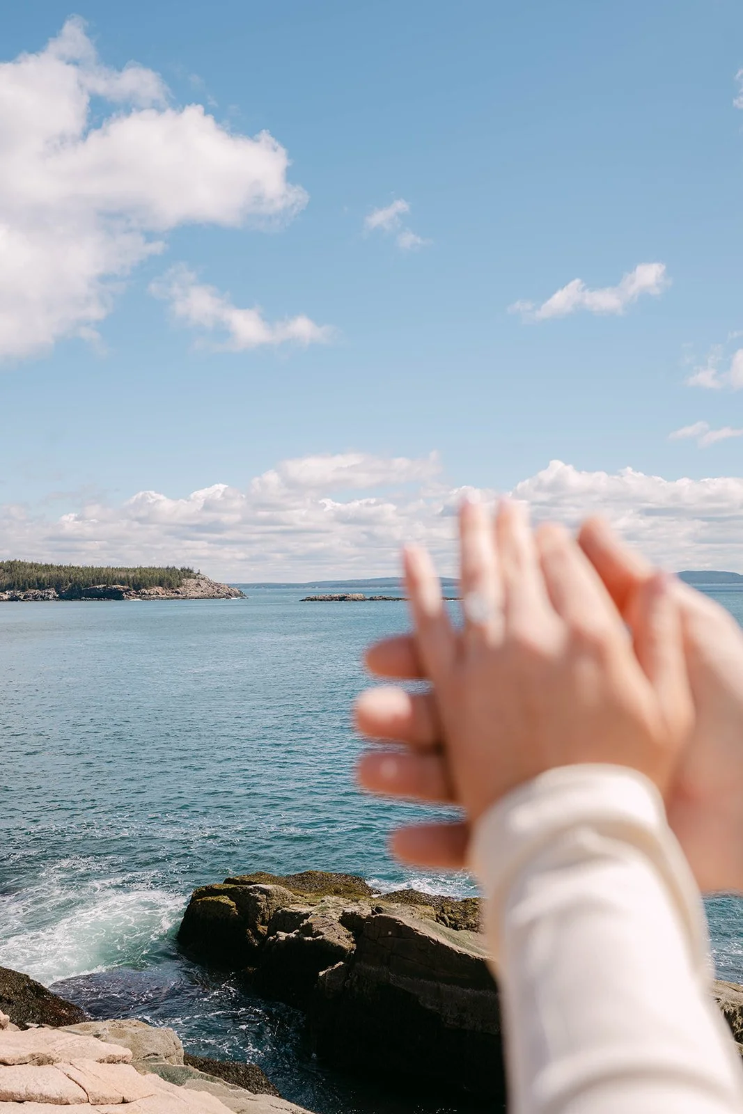 acadia-national-park-engagement-photos (1).jpg