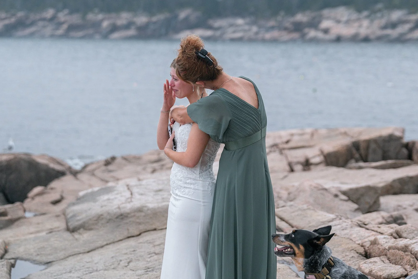 acadia-elopement (69).jpg
