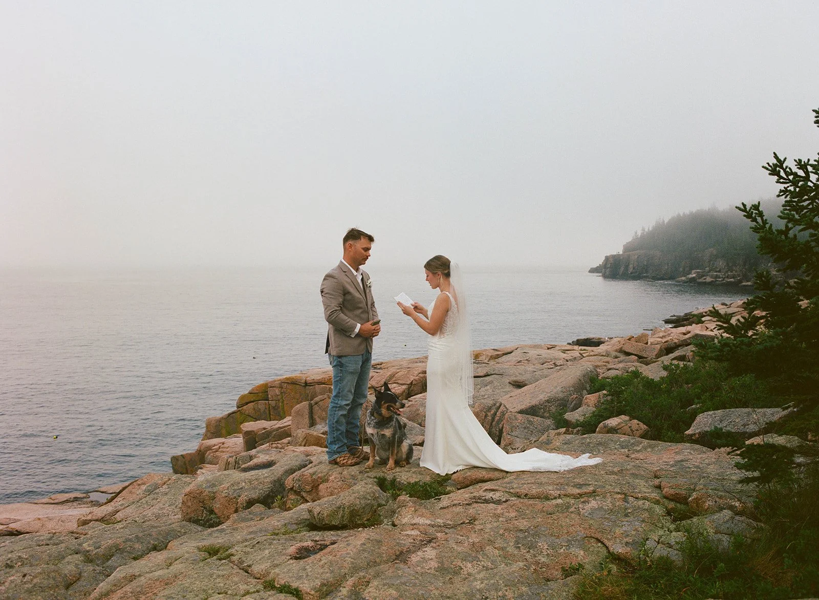 acadia-elopement (2).jpg