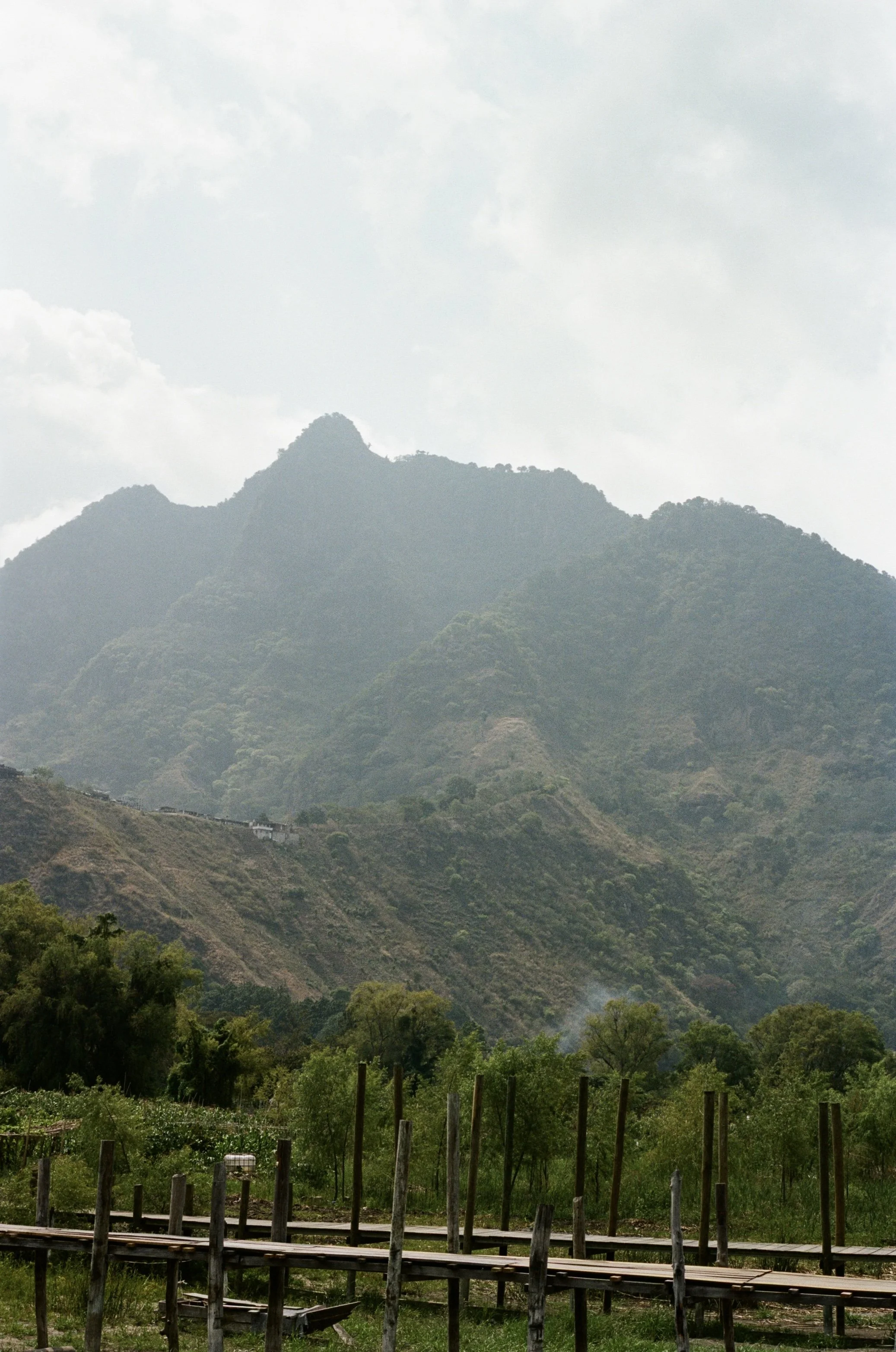 000077740026.jpg