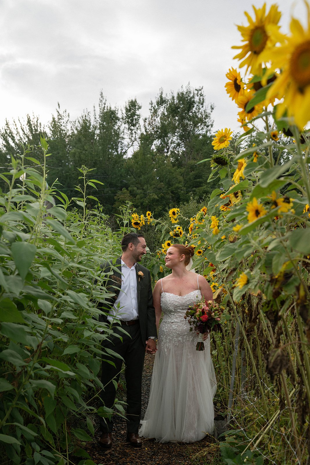 Bar Harbor Wedding