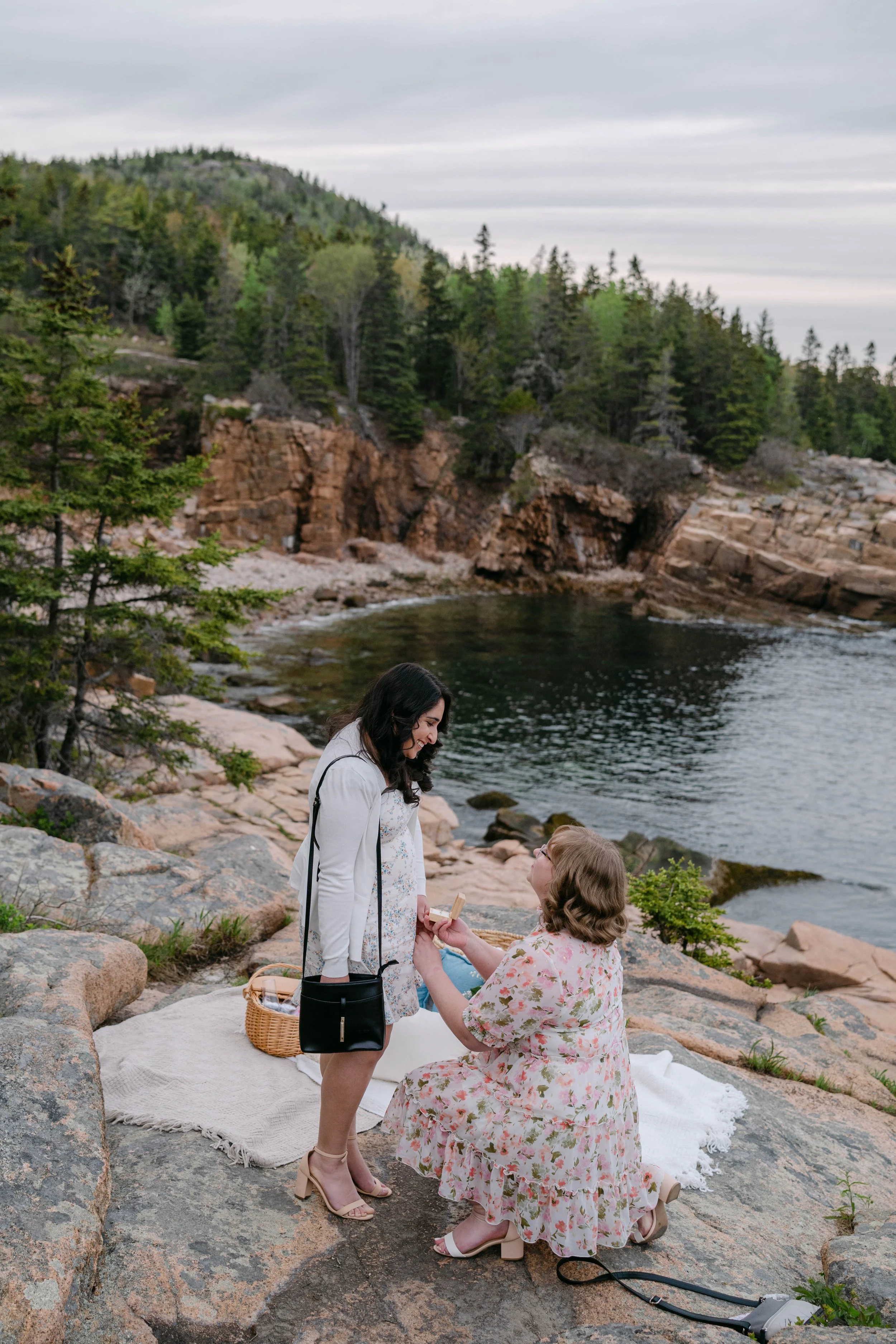 Acadia Surprise Proposal Photographer