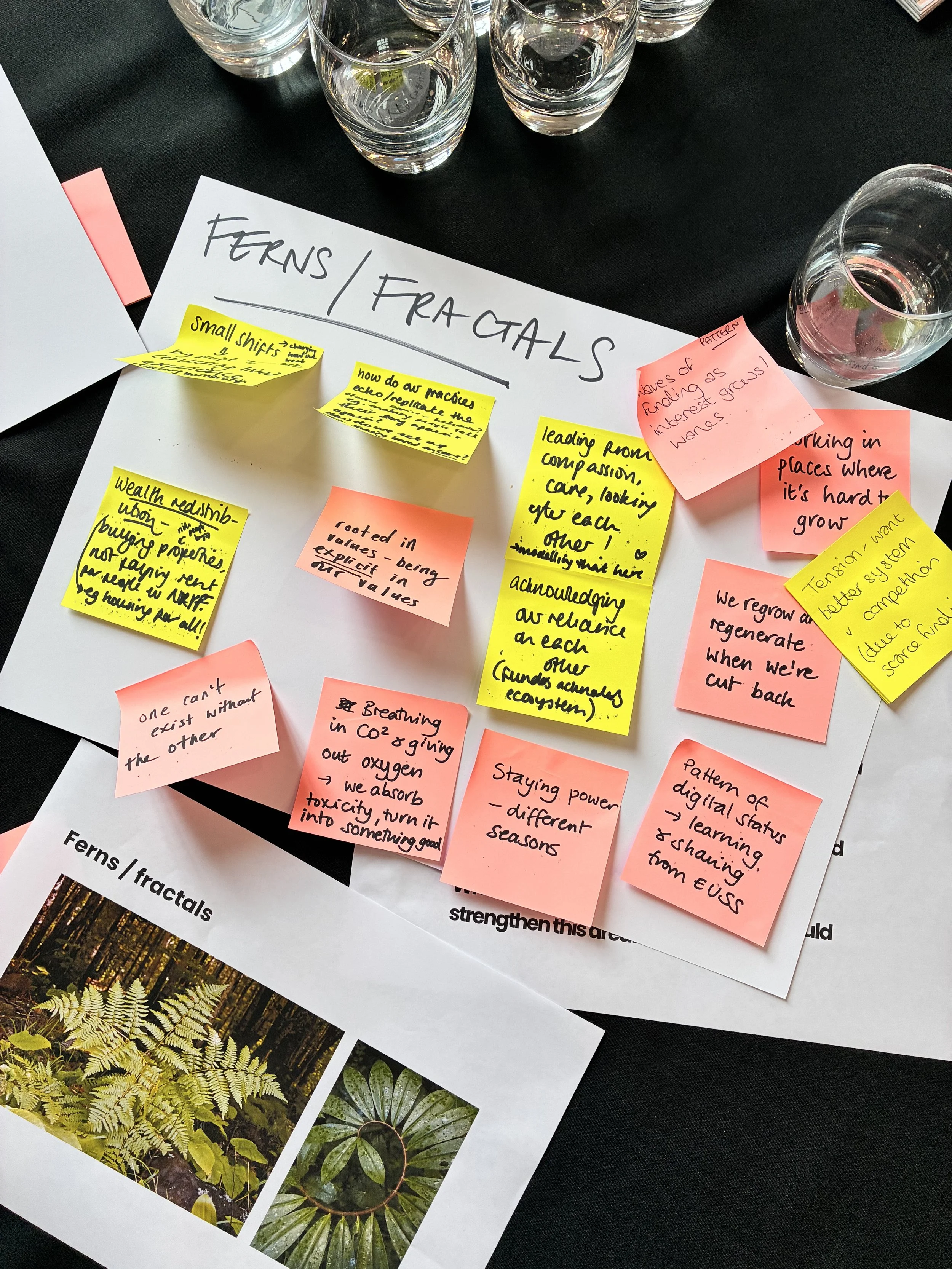 Festival of Sharing