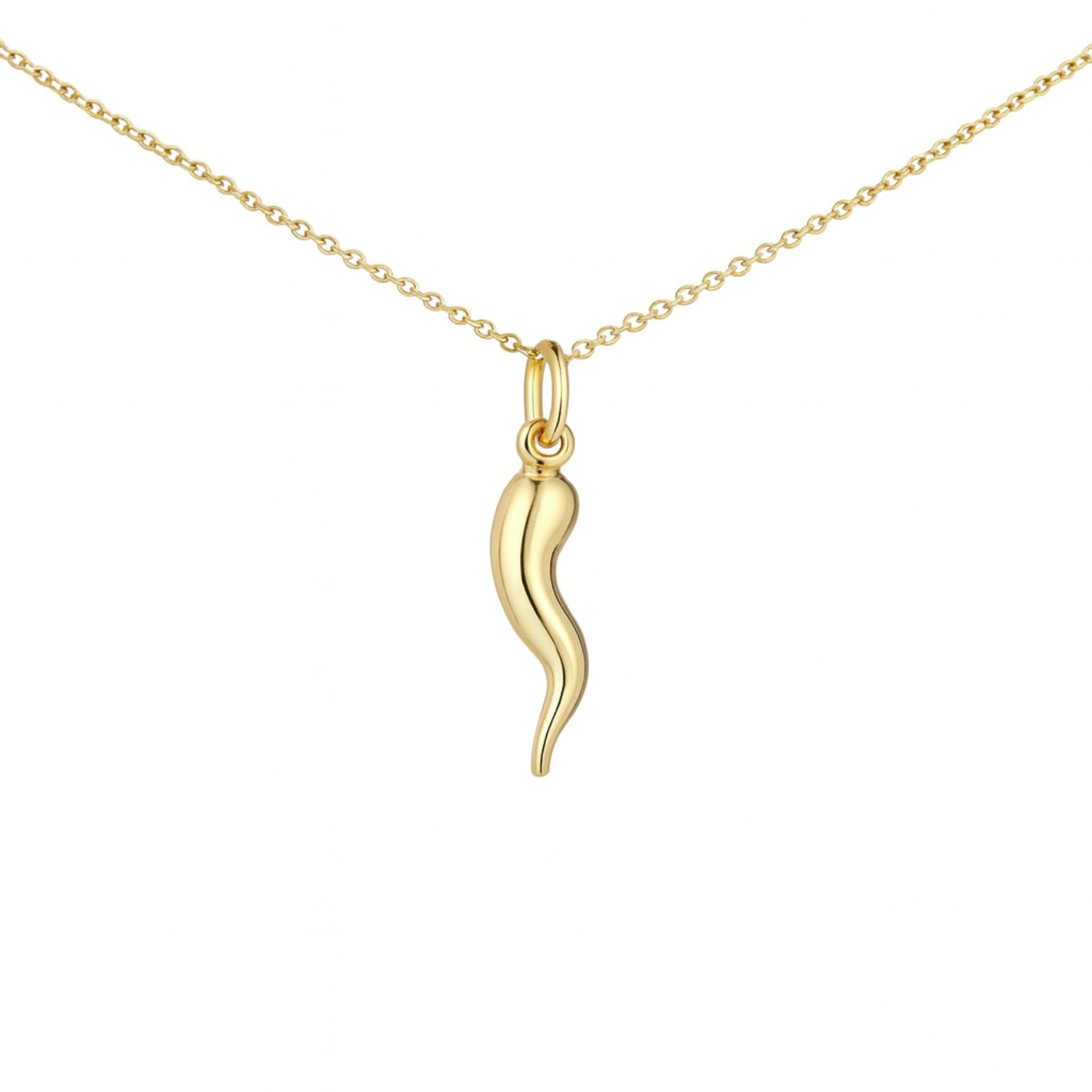Chilli Horn Pendant