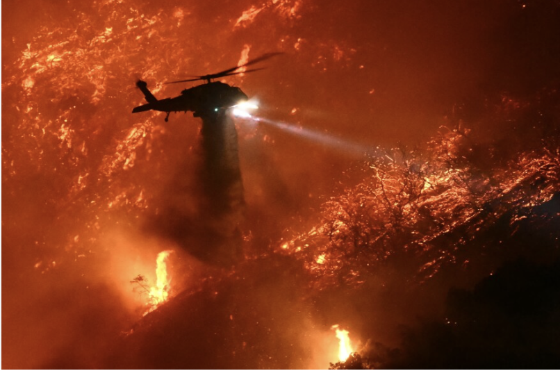 244) Day 12 -- Reason #12 to revolt against predatory capitalism